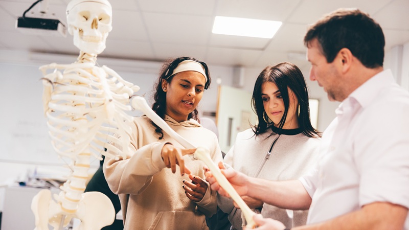 Anthropology skeleton being discussed by professor and students