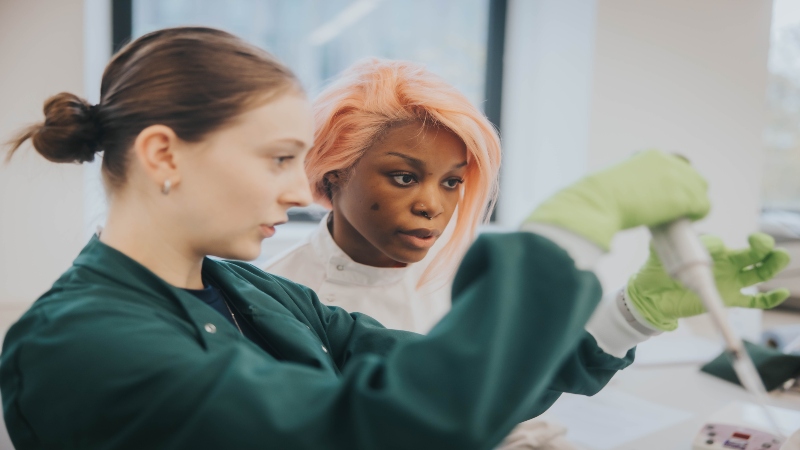 Students working in the lab