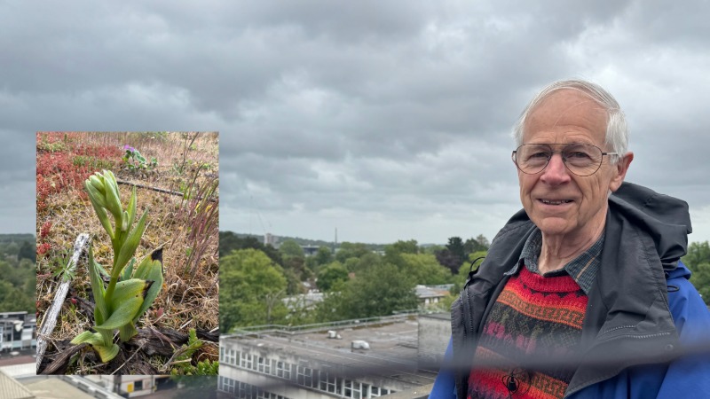 Dr Andrew Lack on the roof. Inset - a rare orchid. 