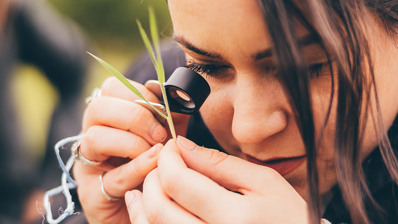 scienctist looking at plants through magnifying glass