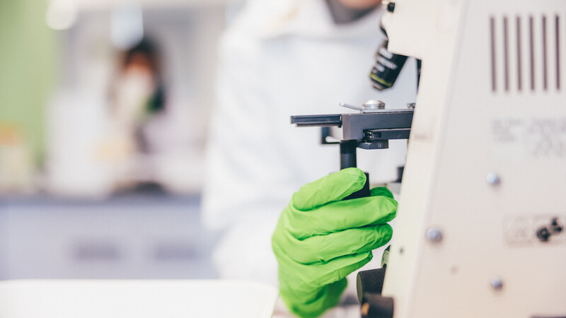 Nigel Groome Studentship: Unravelling Context-Specific Hormonal Control of Gene Expression in Drosophila