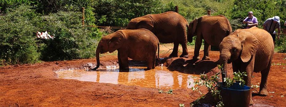 BSc (Hons) or MBiol in Biodiversity and Wildlife Conservation at Oxford ...