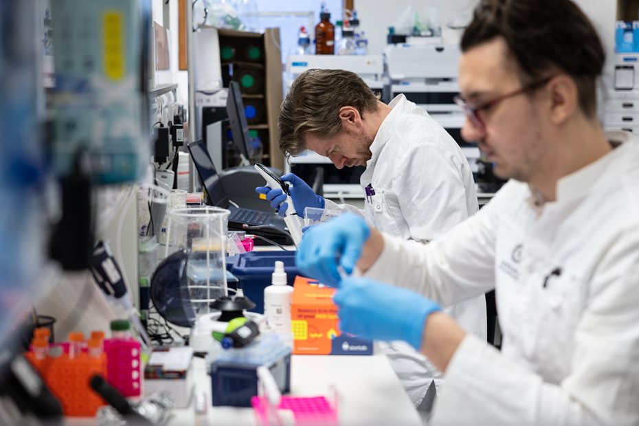 Newly renovated serviced CL2 lab