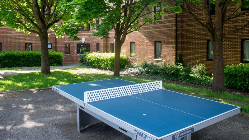 Outdoor space with trees and ping pong table