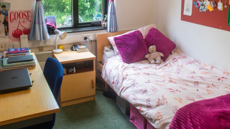 Single bedroom with bed, bedside table, desk and pinboard. Window behind the bed and bedside table.