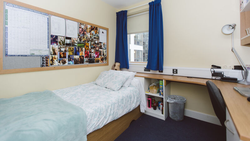 Single study bedroom with single bed, pinboard, window and wrap around desk