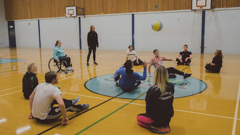 Group activity in the sports hall