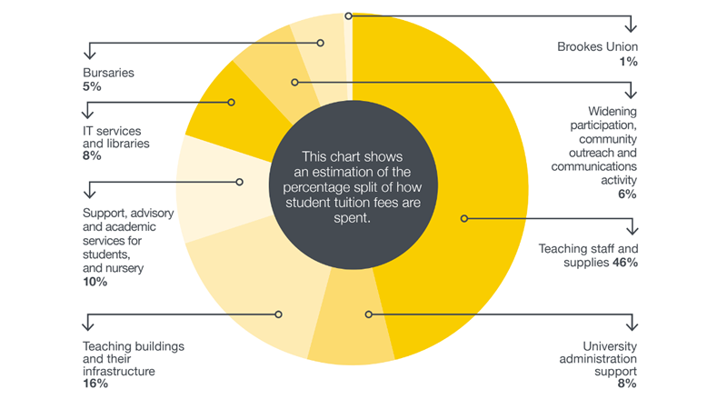 A chart that shows an estimation of the percentage split of how student tuition fees are spent