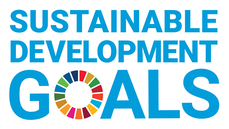 United Nations Sustainable Development Goals logo