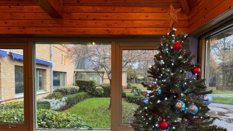 Christmas tree in centre