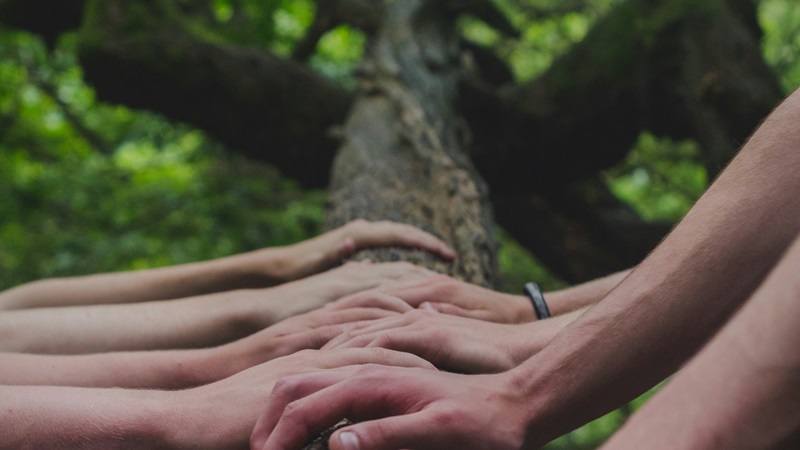 Several hands resting on a tree branch
