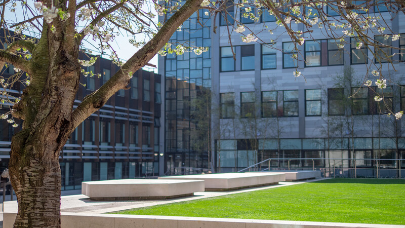 Oxford Brookes workshops will help small businesses reduce their carbon footprint