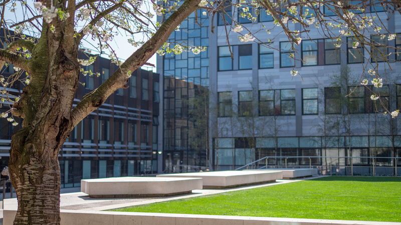 Oxford Brookes University rated first class for sustainability in People & Planet rankings