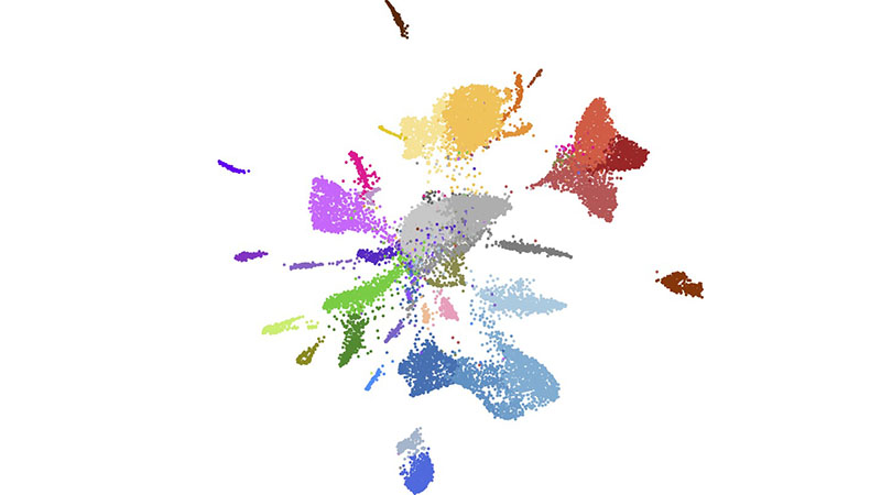 Cell map using ACME single cell transcriptomics method