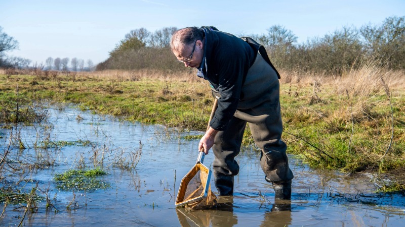 Professor Jeremy Biggs, CEO of Freshwater Habitats Trust, surveying a pond