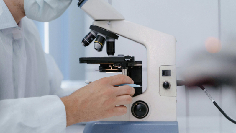 A scientist looks through a microscope.