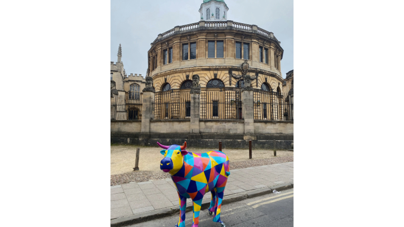 An Oxtrail Ox outside the Radcliffe Camera in Oxford