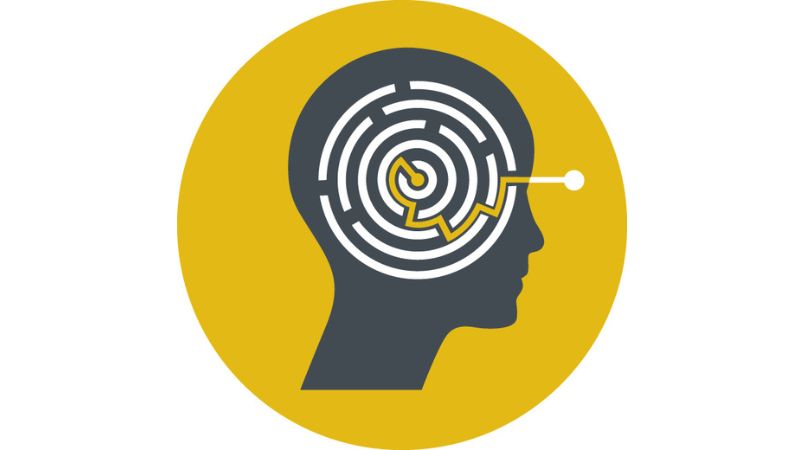 the logo of AIDAN, a silhouette head with a circular maze within
