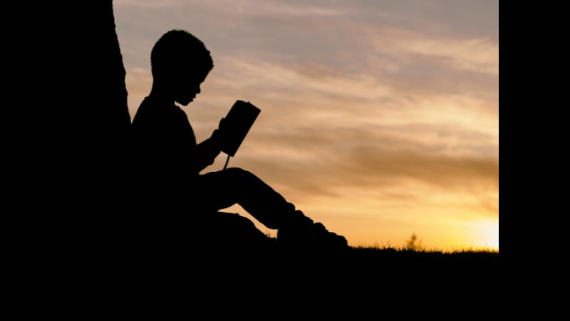 Silhouette of a person reading a book in the sunset