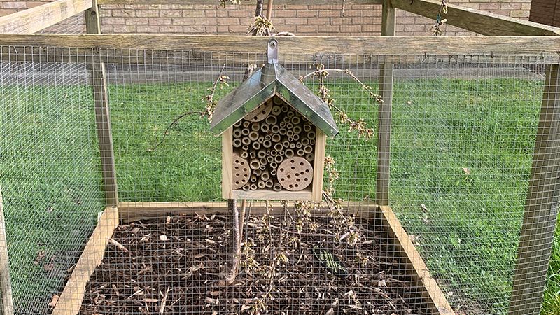 A bee hotel at Clive Booth Student Village.