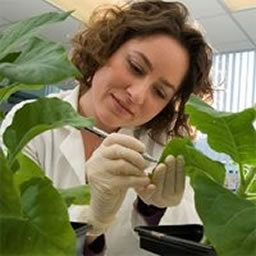 Professor Verena Kriechbaumer