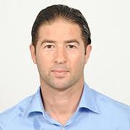 Professor Levent  Altinay