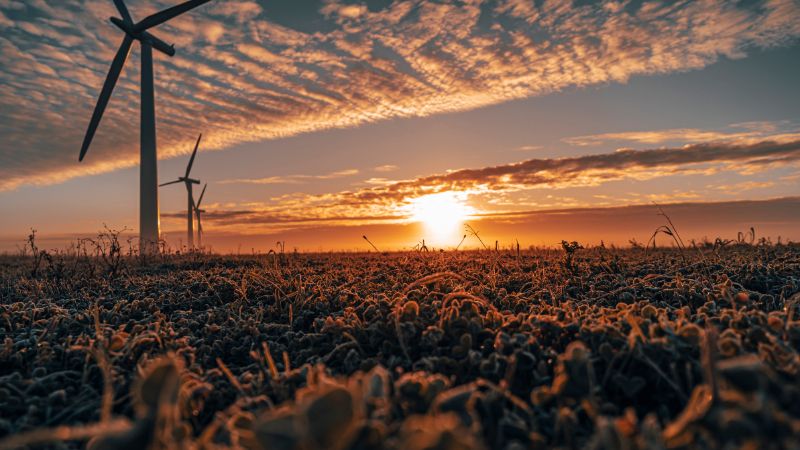 windmills at sunset