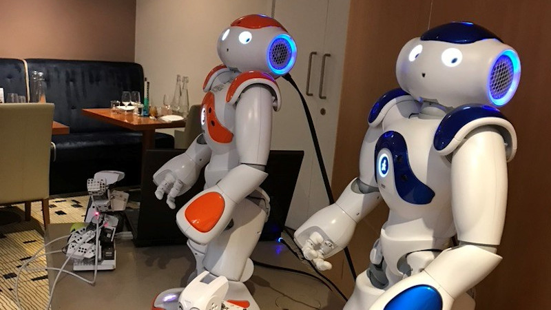 Machine Learning and Robotics Group (MLR)